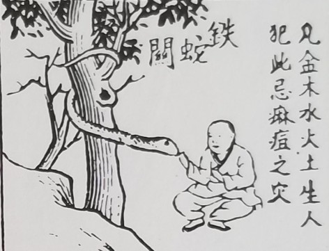 論風水鐵蛇關